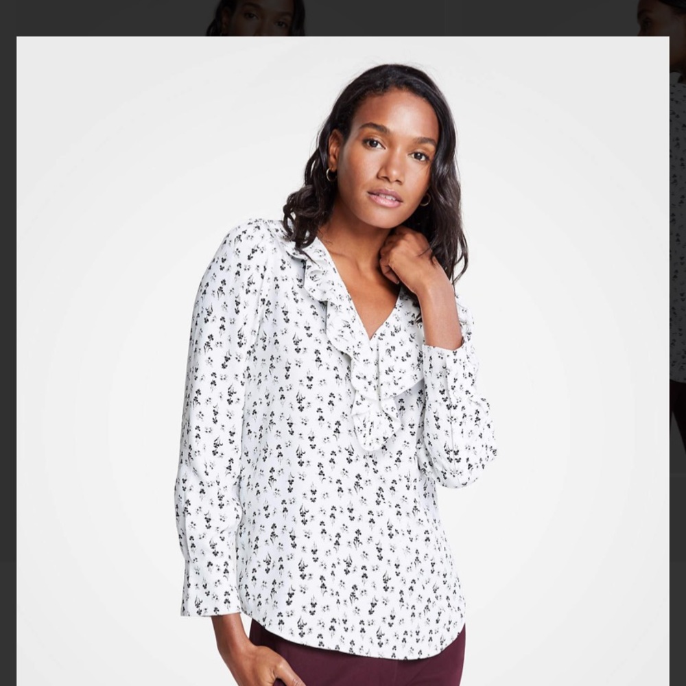 NWT Ann Taylor Mini Iris Ruffle V-Neck Blouse